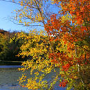 Frank Melville Park, Setauket NY